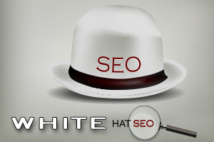 WebAtude Top Best Professional Local SEO Internet Marketing SEM