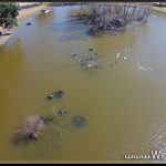 WebAtude Drone Aerial Photography New Orleans Louisiana Photographer For Weddings Parties Events